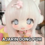 ajarin puh